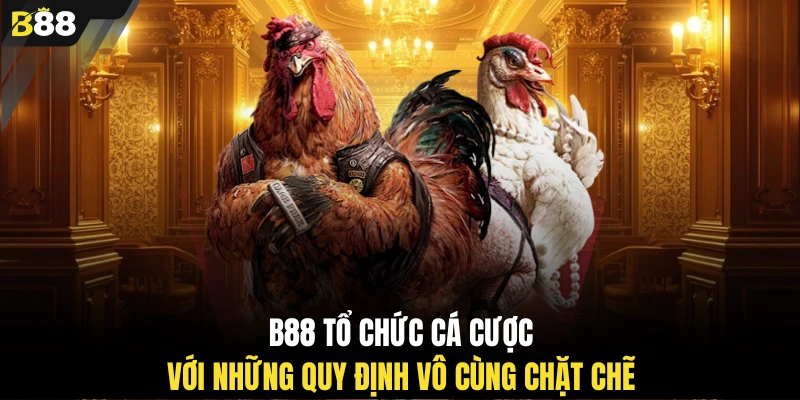 B88 tổ chức cá cược với những quy định vô cùng chặt chẽ