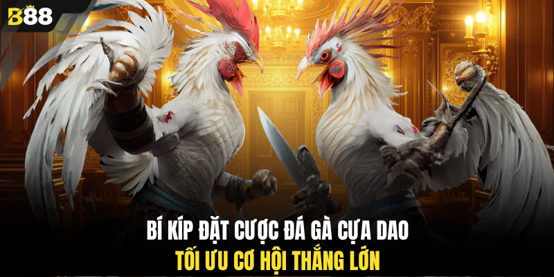 Bí kíp đặt cược đá gà cựa dao tối ưu cơ hội thắng lớn