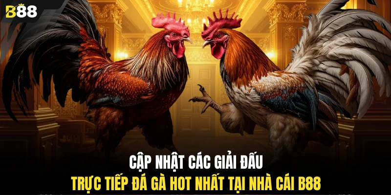 Cập nhật các giải đấu trực tiếp đá gà hot nhất tại nhà cái B88