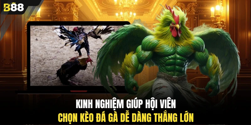 Kinh nghiệm giúp hội viên chọn kèo đá gà dễ dàng thắng lớn