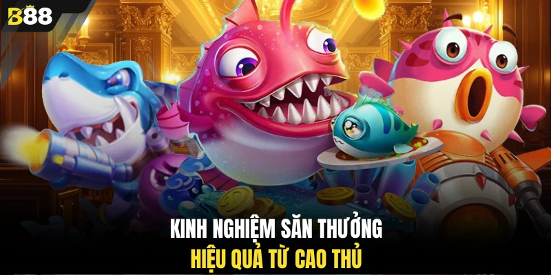 Kinh nghiệm săn thưởng hiệu quả từ cao thủ