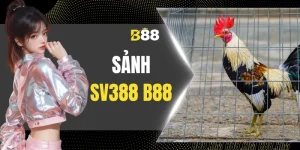 Sảnh SV388 B88