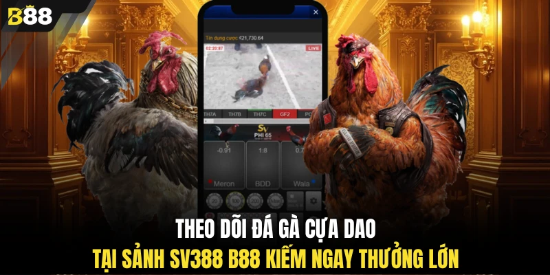 Theo dõi đá gà cựa dao tại sảnh SV388 B88 kiếm ngay thưởng lớn