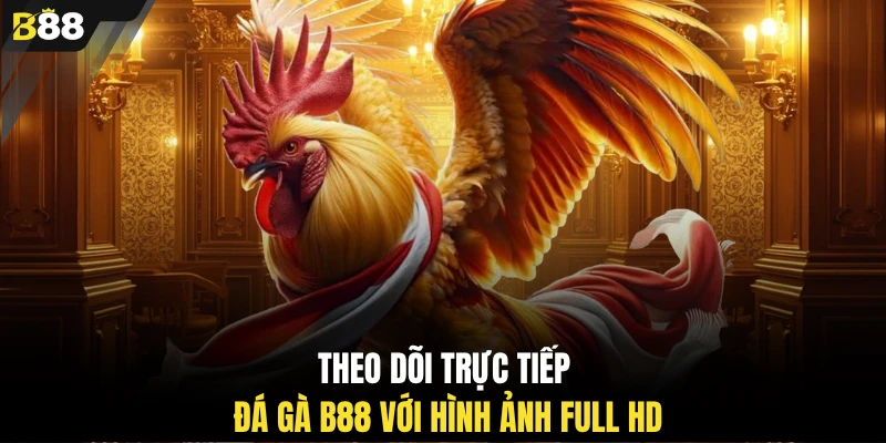 Theo dõi trực tiếp đá gà B88 với hình ảnh full HD